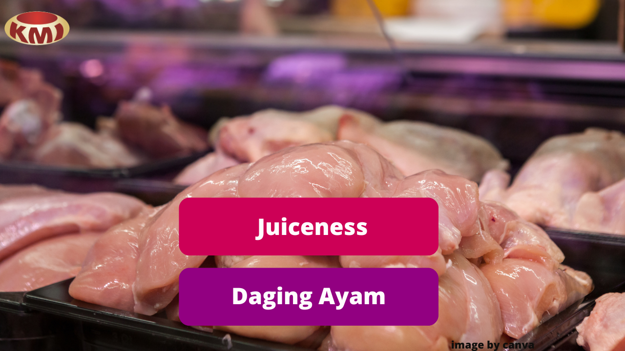 Beberapa Hal Yang Mempengaruhi Juiceness Daging Ayam